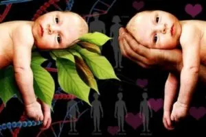 Nature vs. Nuture Nature-vs-Nurture-or-Both Essay Images