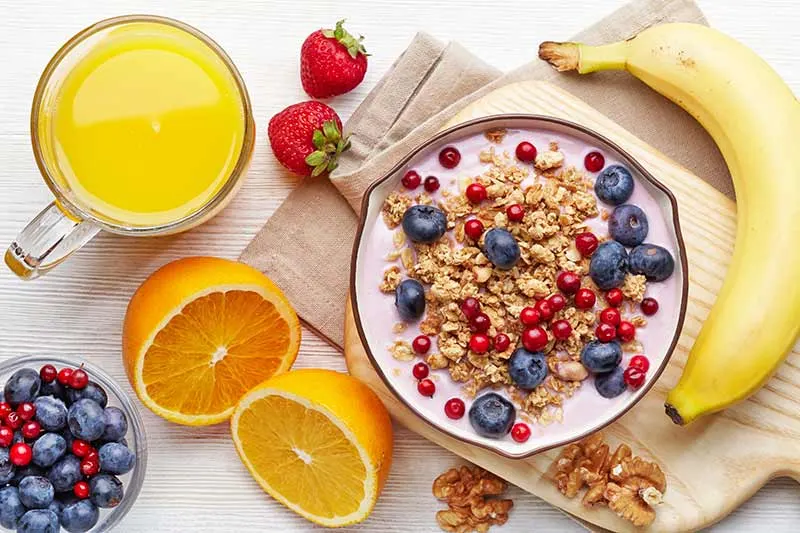 Why Breakfast is The Most Important Meal of The Day